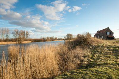 mindfulness and yoga in nature