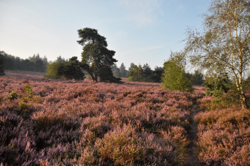 Retraite omgeving