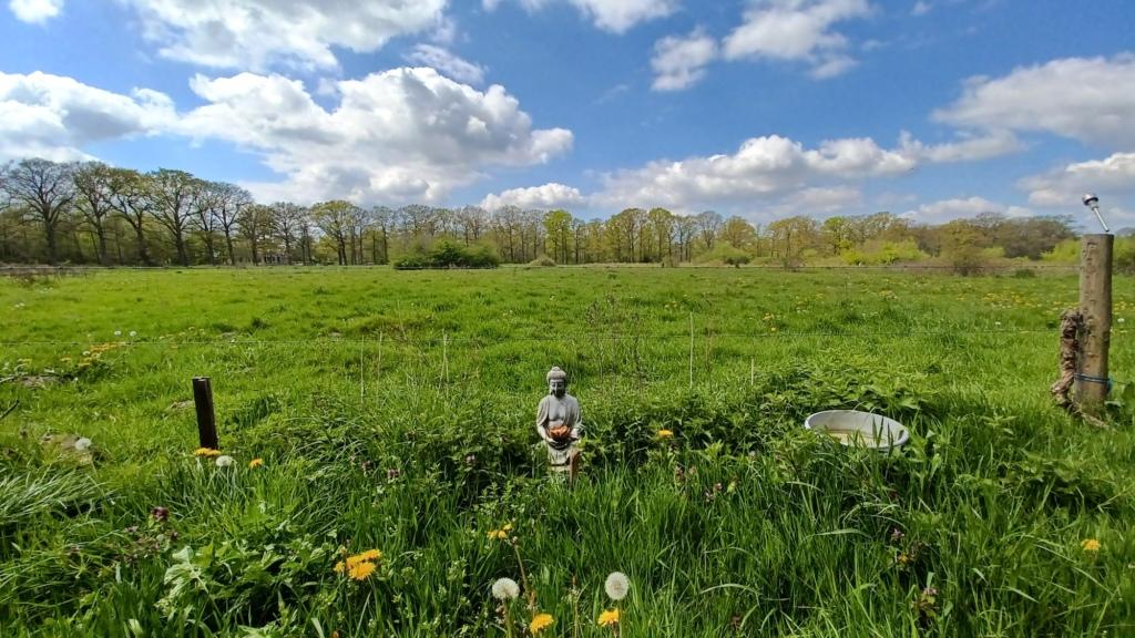 stilte retraite olst uitzicht